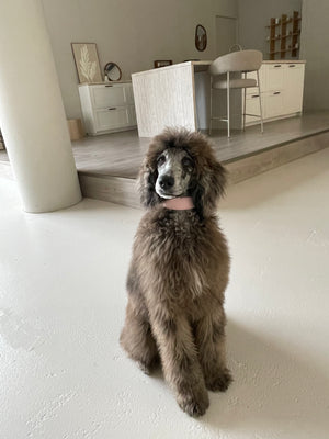 Roze veganistische leren halsband