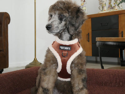 Het fluwelen berenharnas