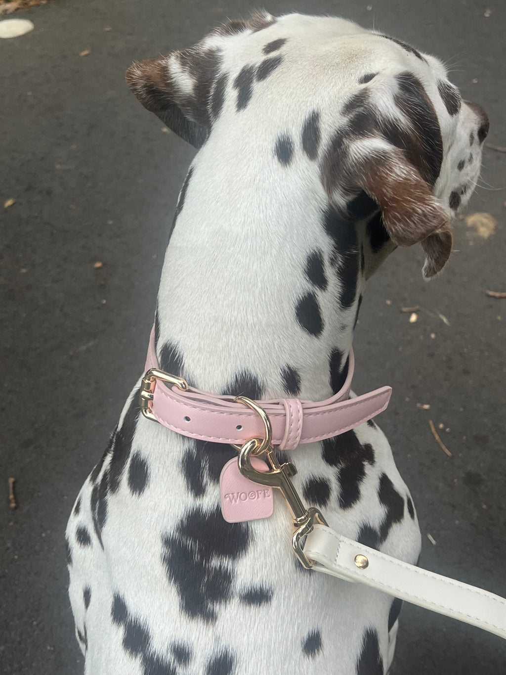 Roze veganistische leren halsband