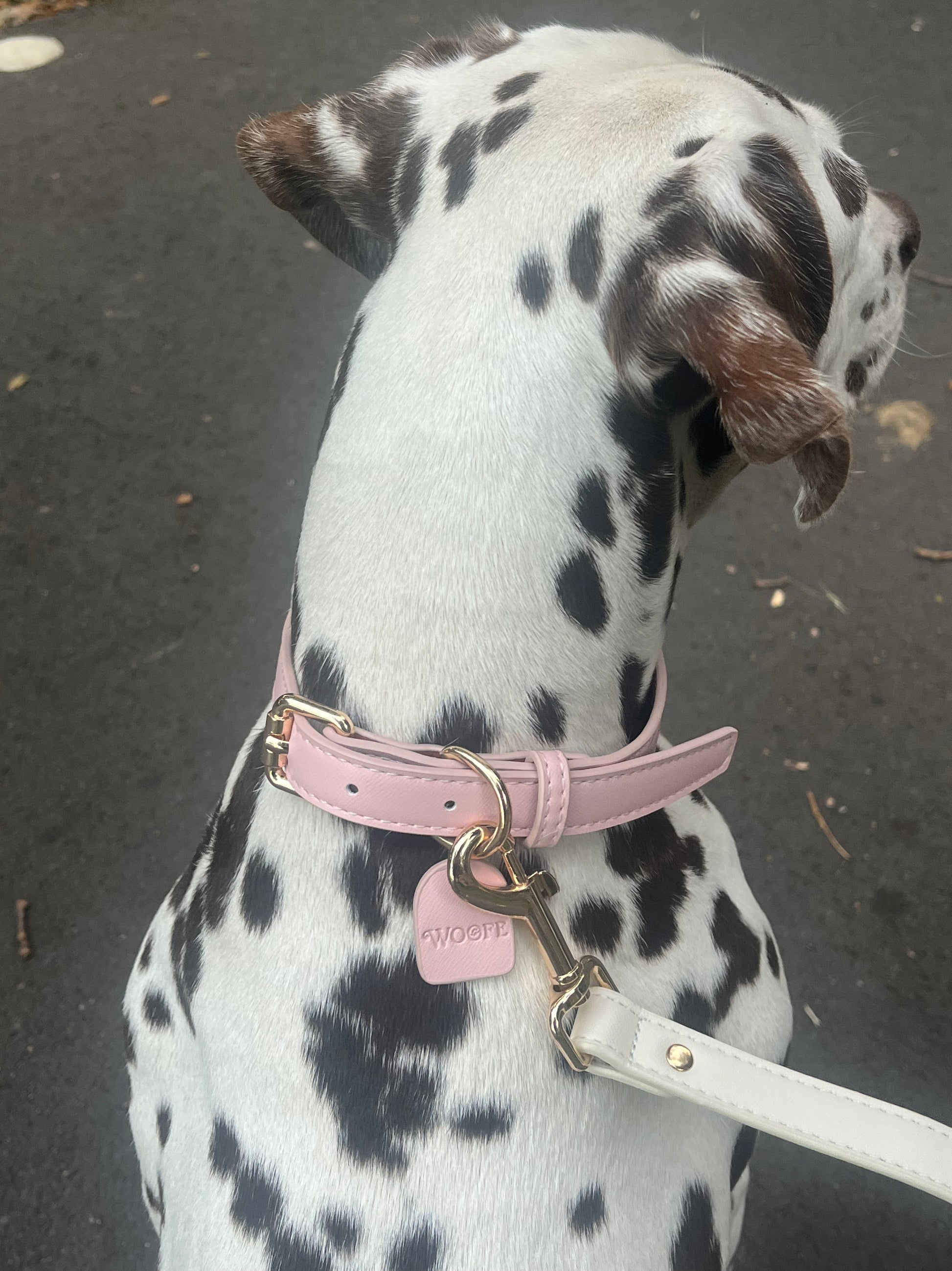 Roze veganistische leren halsband