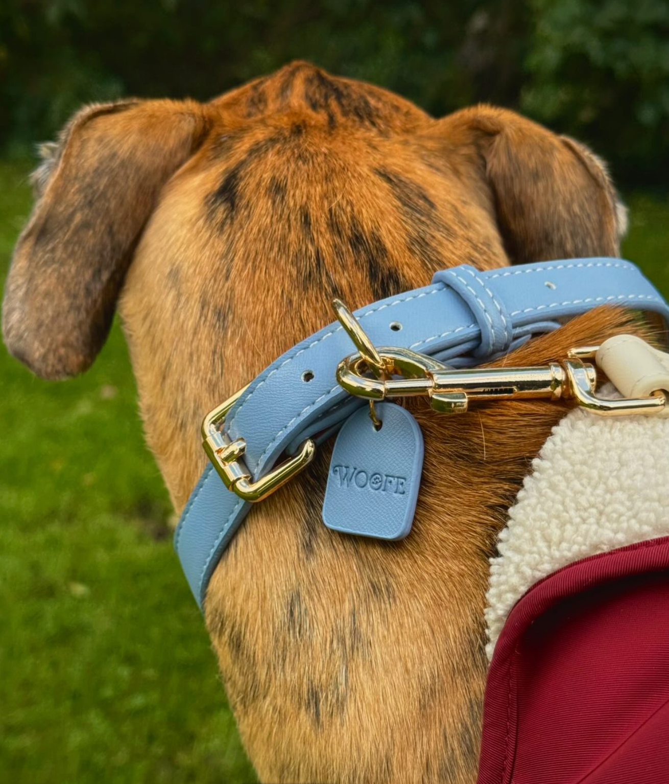 Blauwe veganistische leren halsband