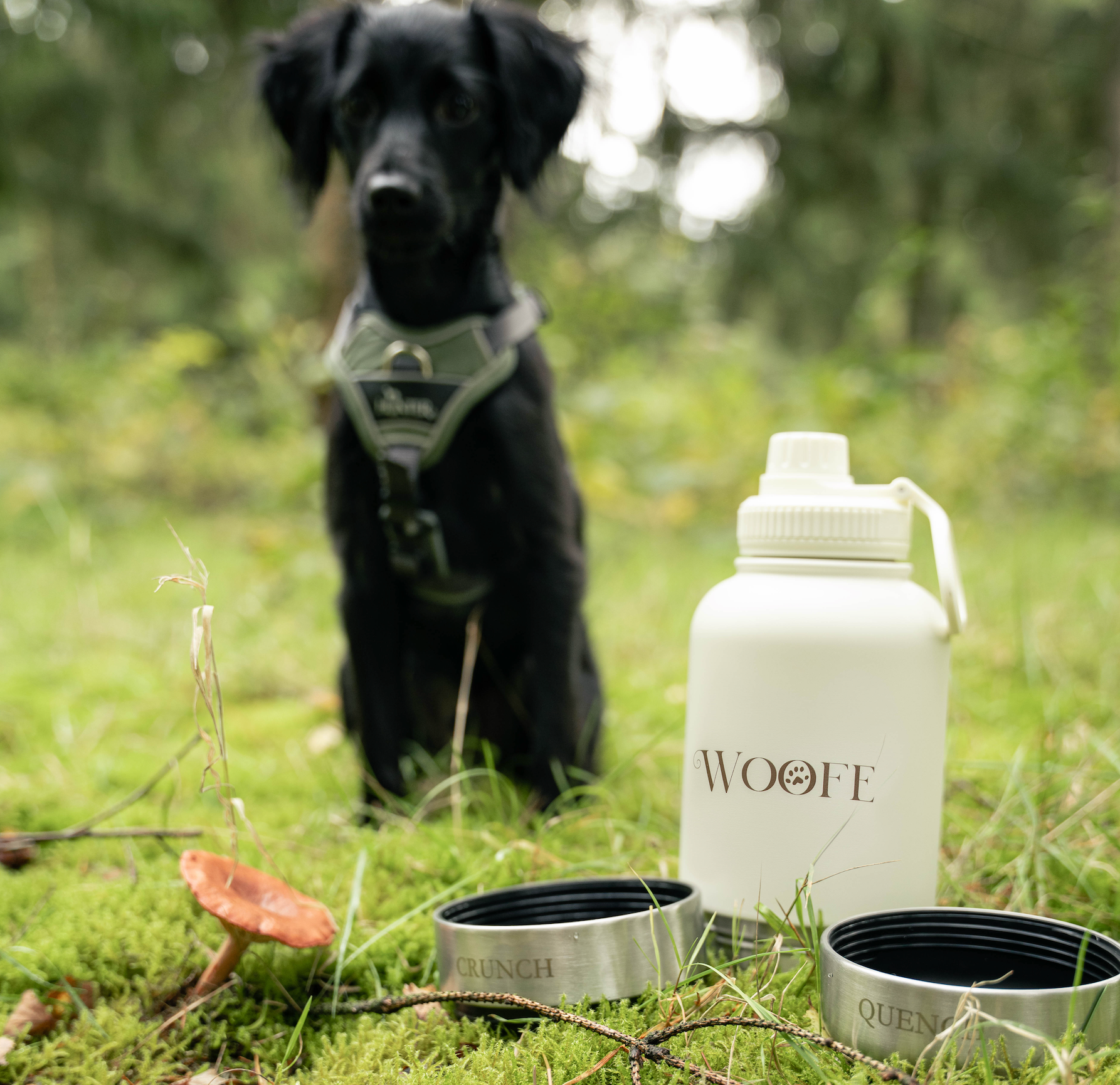 3 in 1 Waterfles - Havermelk Wit