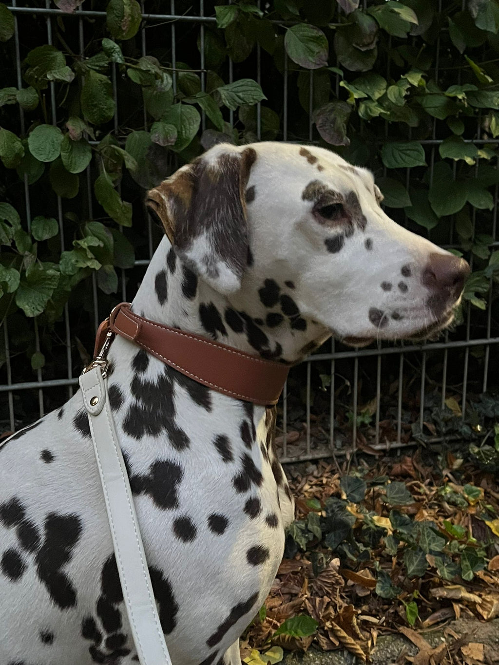 Mocha Vegan Leren Halsband