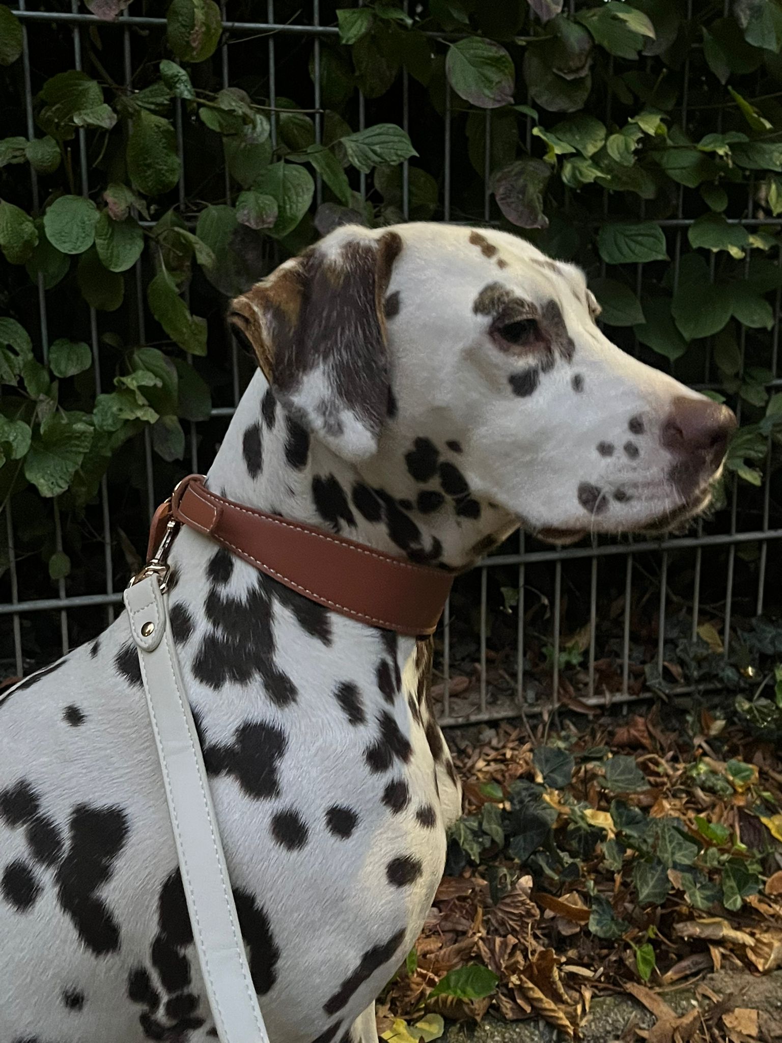 Mocha Vegan Leren Halsband