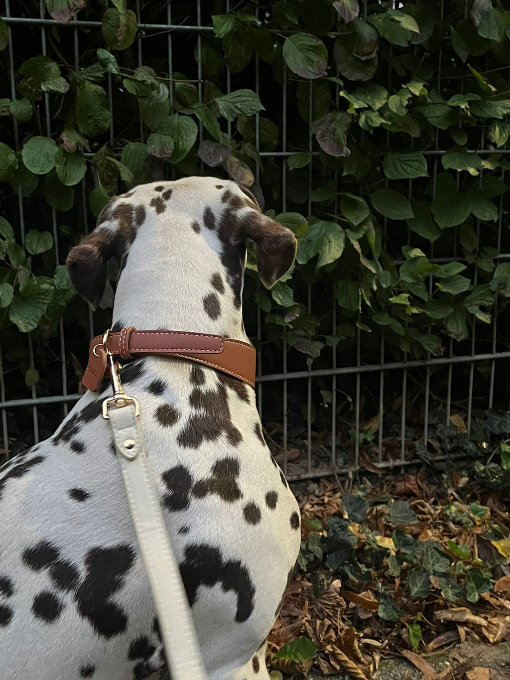 Mocha Vegan Leren Halsband