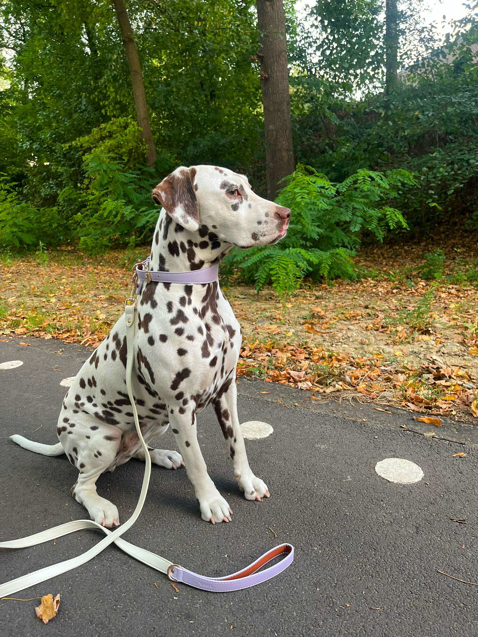 Lila veganistische leren halsband
