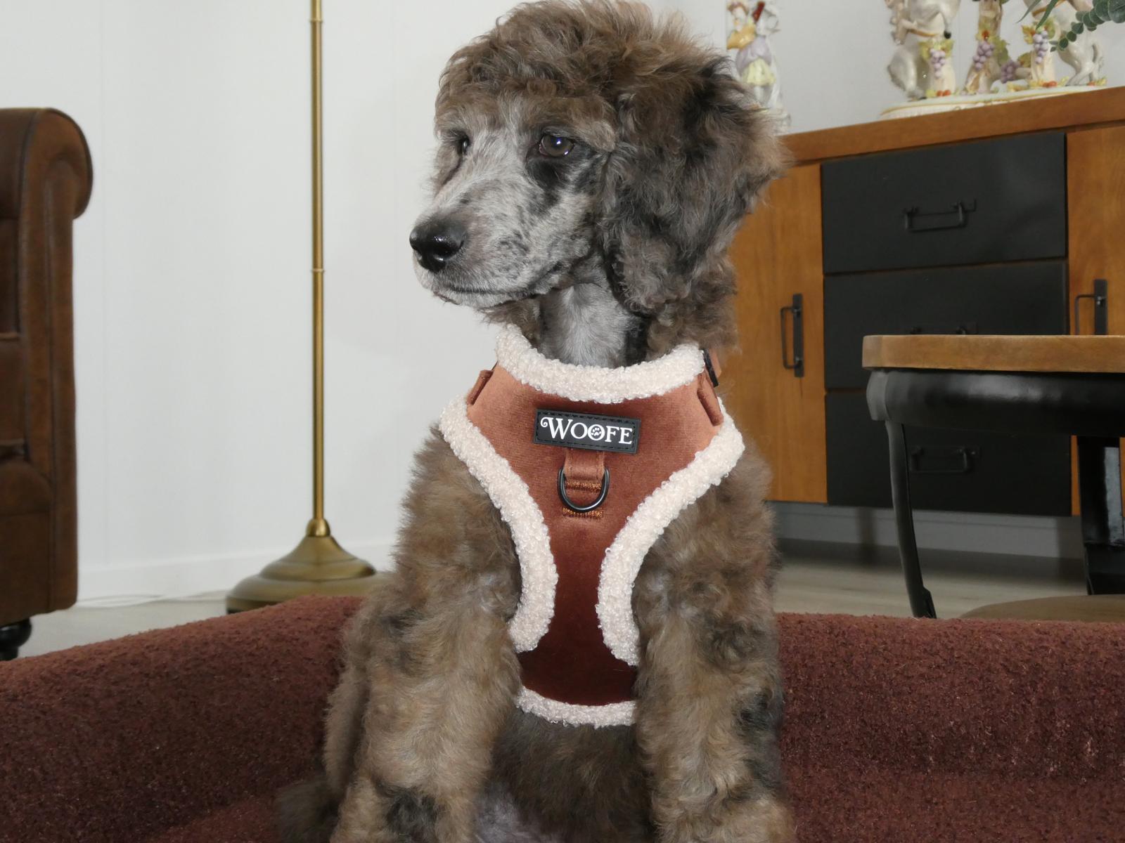 Het fluwelen berenharnas