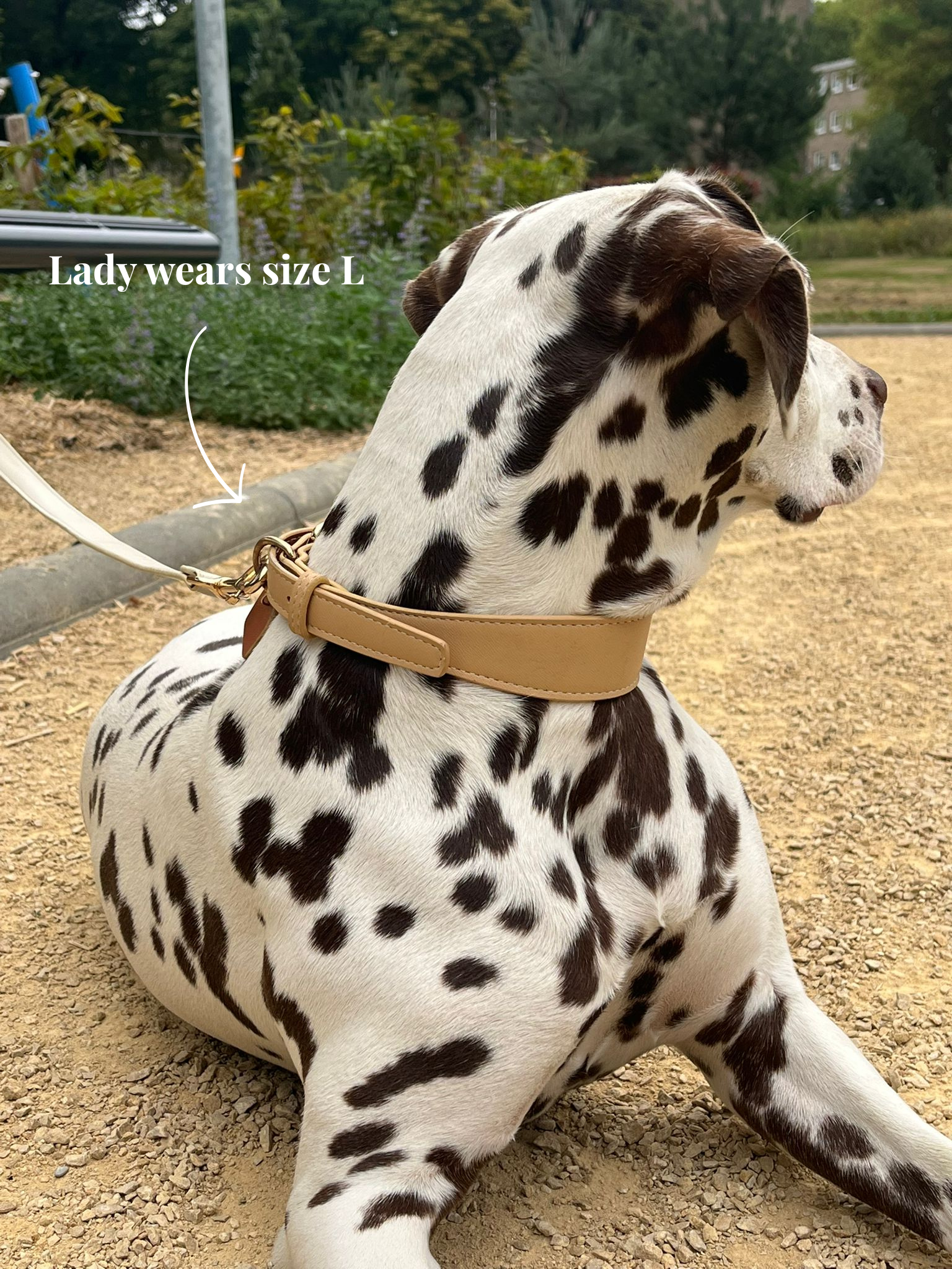 Beige veganistische leren halsband